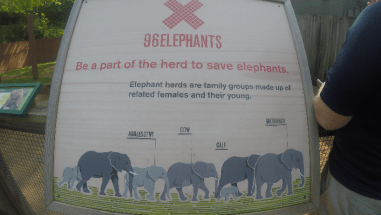 Screen Shot 2016-06-14 at 1.12.53 PM