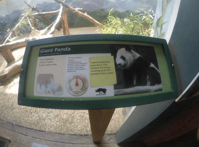 Screen Shot 2016-06-14 at 1.17.43 PM