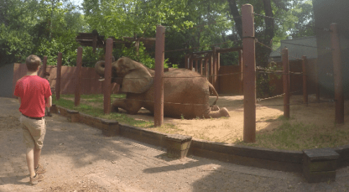 Screen Shot 2016-06-14 at 2.00.11 PM