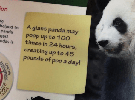 Screen Shot 2016-06-17 at 12.12.25 AM