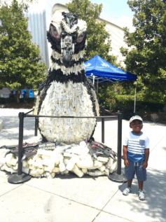 Screen Shot 2016-07-24 at 8.36.26 PM