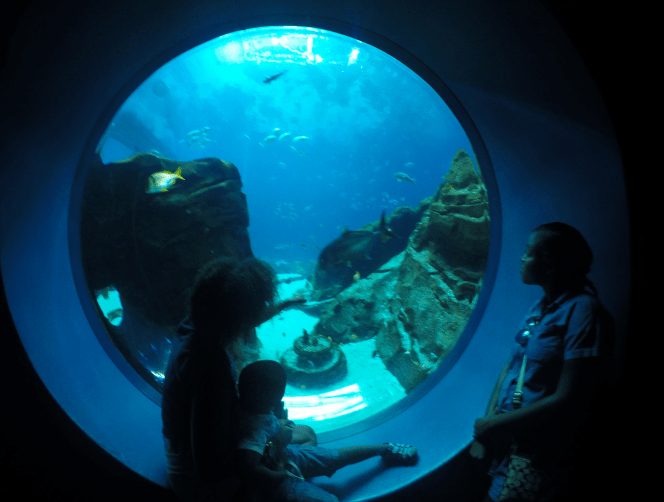 Screen Shot 2016-07-26 at 1.29.04 PM