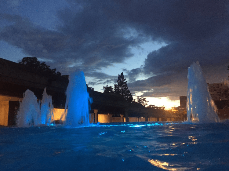 screen-shot-2016-09-08-at-3-41-49-pm